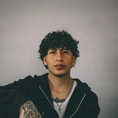 Bryant BRX
