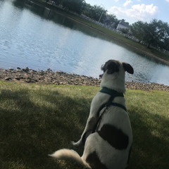 Klaus