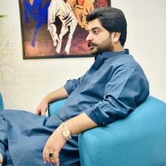 Nabeel M.hassni