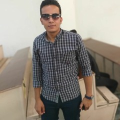 Mahmoud Elsayed AboAmra