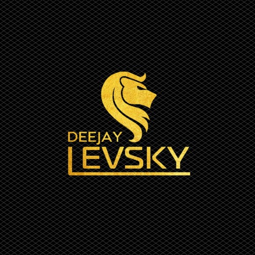 Dj Levsky — artist photo