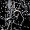 deathnotes