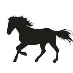 Gallop#Team