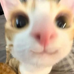 baoly