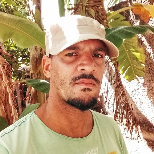 Renan Lopes Dos Santos’s avatar