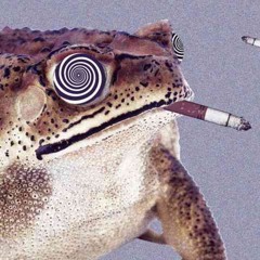 acid toadi