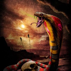 Mozambique Spitting Cobra