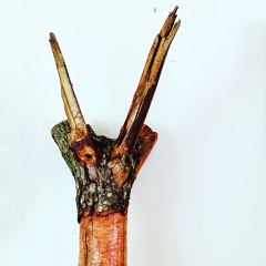 choppers and chestwounds