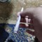 Bahgot Elnabawy