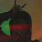 Afroo Genius
