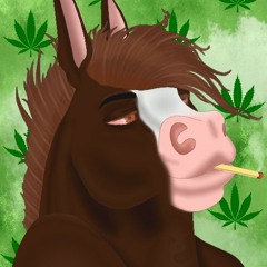 YoungHorse
