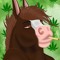 YoungHorse