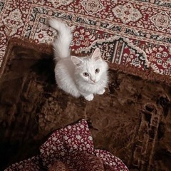 اسماء مختار