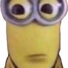 bruh xd xd