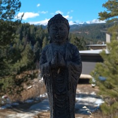 psywilld
