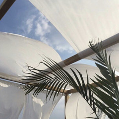 sʜᴀʜᴀᴅ | شـهد