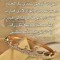 آلاء أم يوسف