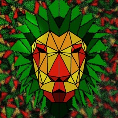 Илья Г.