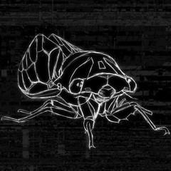 Cicada Lullaby