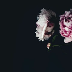 Moon Theater of Mind