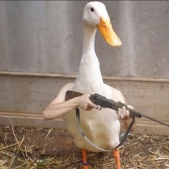 Duck_bourre_pif_à_la_bourgeoisie