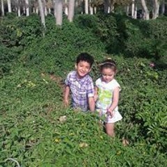 روزكازان روزكازان