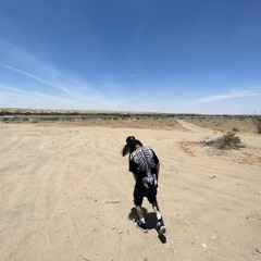 ALLEY AVI (ig: @alley.avi)