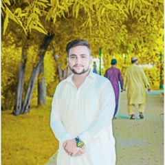 MiR Hadi