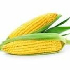 🎵🌽iT's CoRn🌽🎵