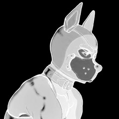 SUBPUPPY