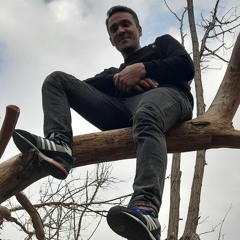 mohsen maleki