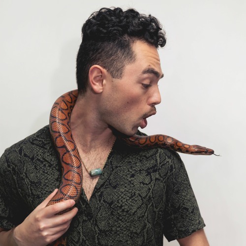 Snake Guy’s avatar