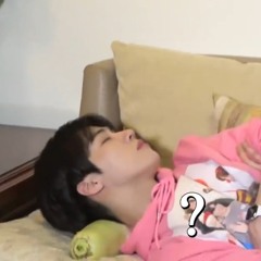 혀비더비