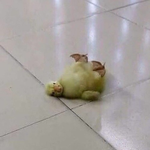 I Don’t Wanna Be Okay Without You (ft. clip from Leave The Door Open)