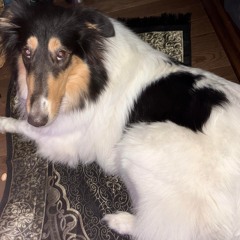 doner dirt cheap ((beat) prod me)