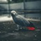 Hossein5404