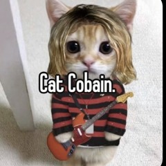 cat cobain🤘