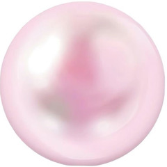 barbsuki