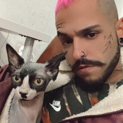 carlitoos