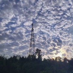 digitalticklu