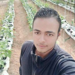 ismail
