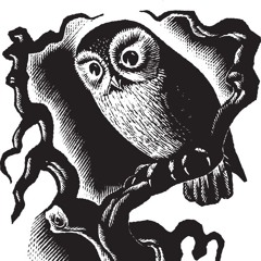 DeafOwl