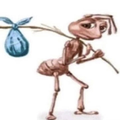 🕵️‍♂️