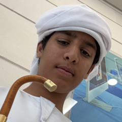 Sultan Aljneibi