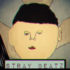 Stray Beatz
