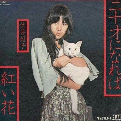 好評 レコード LP 【新品未開封】佐井好子全集 LPボックス pn-gresik