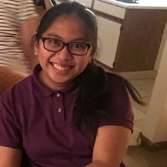 Venice Nicole Suller