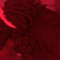 laahremy.3