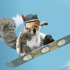 esquilo esquiador