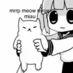 djmeipaimian